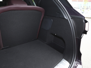 20212.0T PHEV Ultra  g