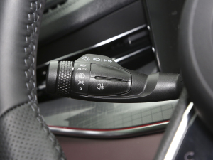 20212.0T PHEV Ultra  п؅^