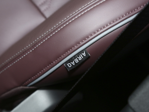 20212.0T PHEV Ultra  п؅^