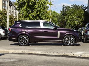 20212.0T PHEV Ultra  ȣң