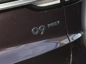 20212.0T PHEV Ultra  ϸ