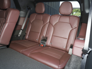 20212.0T PHEV Ultra  g