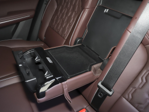 20212.0T PHEV Ultra  g