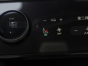 20212.0T PHEV Ultra  g