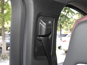 20212.0T PHEV Ultra  g