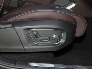 20212.0T PHEV Ultra  g