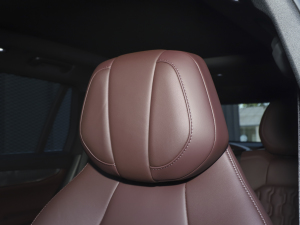 20212.0T PHEV Ultra  g