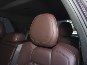 20212.0T PHEV Ultra  g