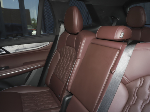 20212.0T PHEV Ultra  g