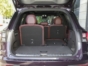 20212.0T PHEV Ultra  g