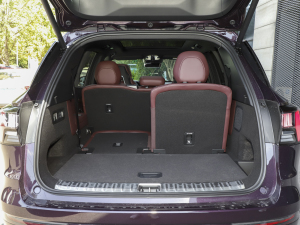 20212.0T PHEV Ultra  g