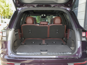 20212.0T PHEV Ultra  g