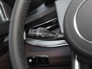 20212.0T PHEV Ultra  п؅^