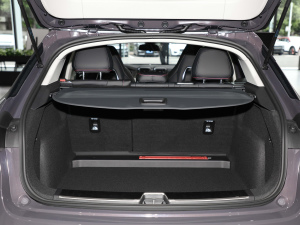 20222.0T DCTҫPlus g