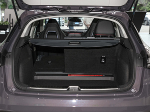 20222.0T DCTҫPlus g