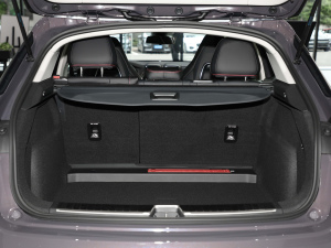 20222.0T DCTҫPlus g