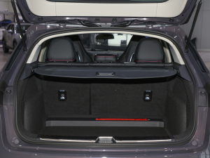 20221.5T DCTҫPlus g