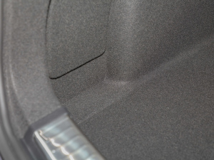 20221.5T DCTҫPlus g