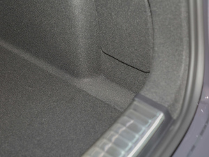 20221.5T DCTҫPlus g