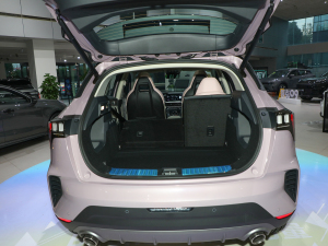 20221.5T Sheroɫ؄e g