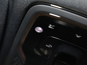 20222.0TD (q) Halo п؅^(q)