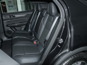 2022款1.5TD PHEV Plus 后排座椅