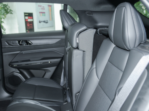 20221.5TD PHEV Plus g