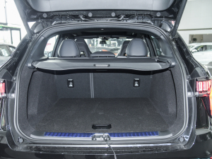 20221.5TD PHEV Plus g