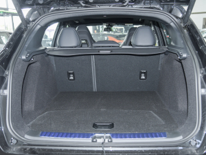 20221.5TD PHEV Plus g