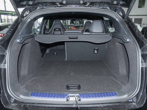 20221.5TD PHEV Plus g