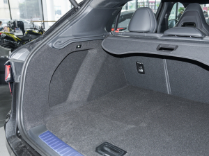 20221.5TD PHEV Plus g