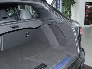 20221.5TD PHEV Plus g