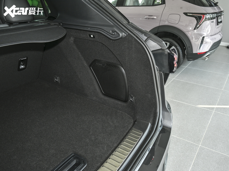 2023I(lng)01 2.0TD (q)Halo