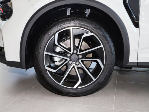 20231.5TD EM-F AM ݆Ȧ