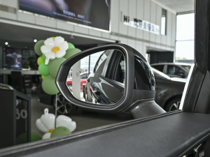 20232.0TD (q)Halo (ji)^