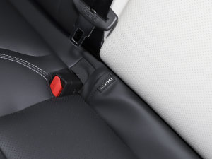 2023Remix 1.5T Shero g