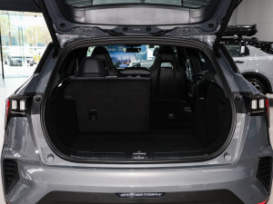 2023Remix 1.5T Pro g