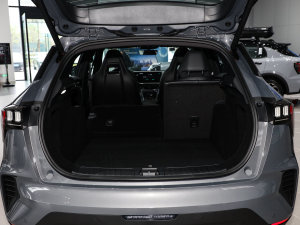 2023Remix 1.5T Pro g