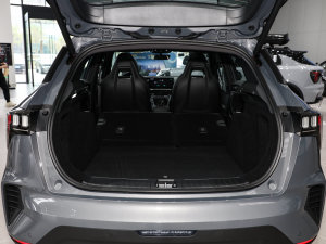 2023Remix 1.5T Pro g