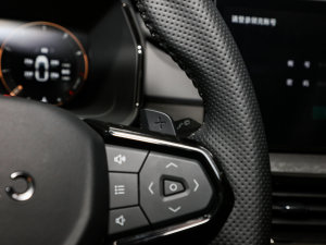 2023Remix 1.5T Pro п؅^(q)