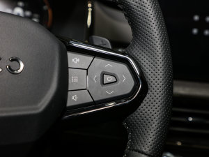 2023Remix 1.5T Pro п؅^(q)