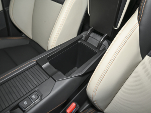 2023Remix 1.5T Plus g