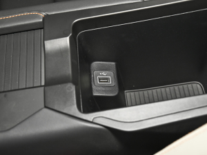 2023Remix 1.5T Plus g