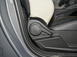 2023Remix 1.5T Plus g