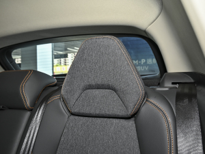 2023Remix 1.5T Plus g