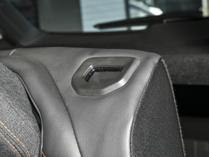 2023Remix 1.5T Plus g