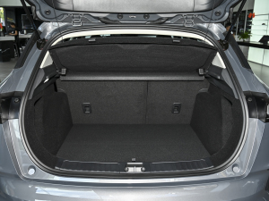 2023Remix 1.5T Plus g