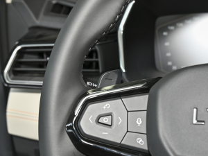 2023Remix 1.5T Plus п؅^