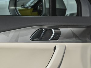 2023Remix 1.5T Plus п؅^(q)