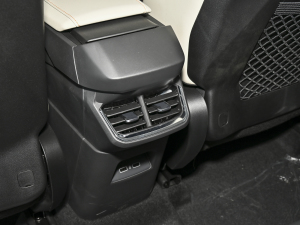 2023Remix 1.5T Plus п؅^(q)